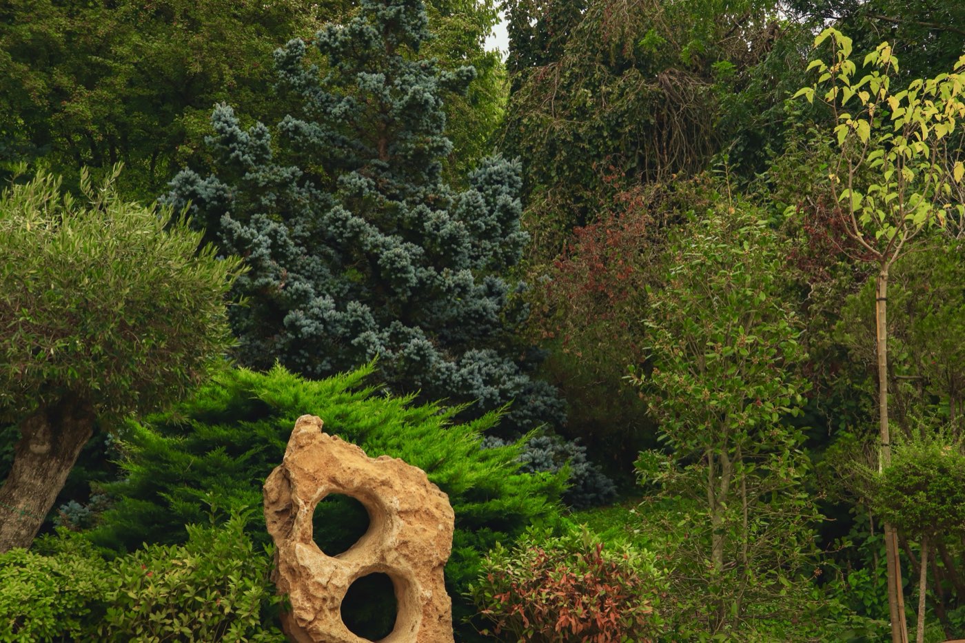 Realizzazione e Manutenzione Giardini